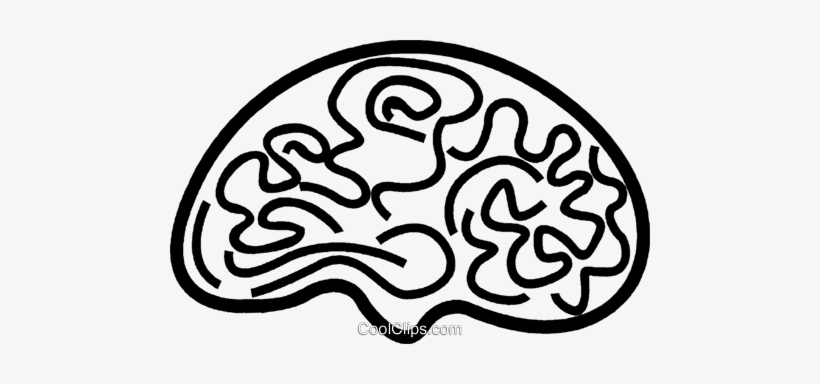 Brain Royalty Free Vector Clip Art Illustration - Illustration, transparent png