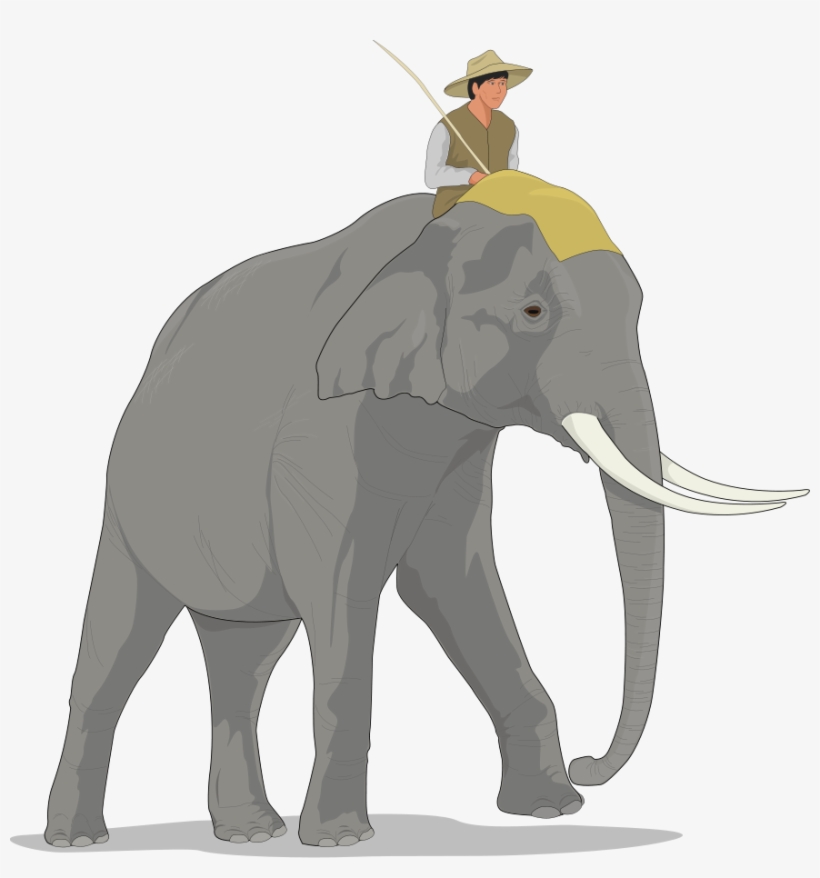 Asian Elephant Clipart Large Elephant - Elephant Rider Clipart, transparent png