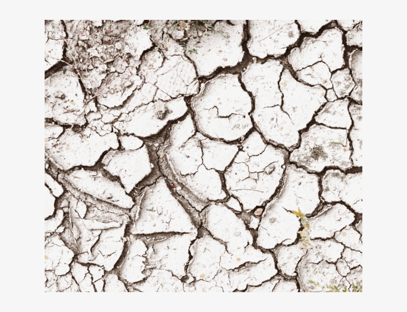 Cracky Decals - Close-up, transparent png
