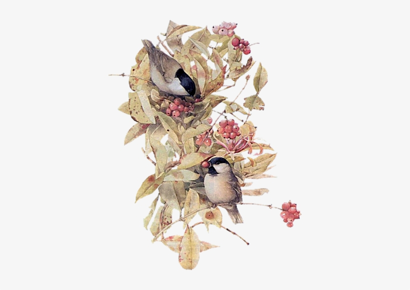 Marjolein Bastin More - Droll Yankees Nb-ctw100 Nurturing Generations 10in., transparent png