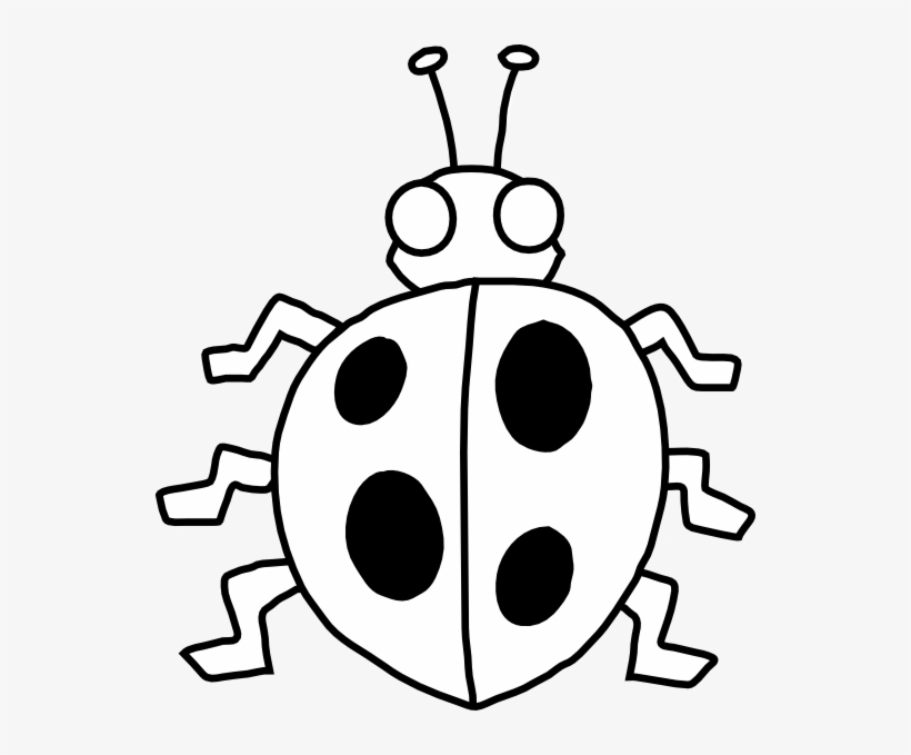 Ladybug Clip Art Black And White, transparent png