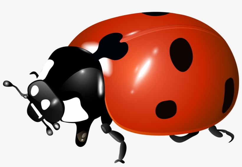 Cute Baby Ladybug Clipart - Sphere With Spring Inside, Vect Snowflake ...