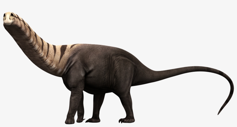 Brontosaurus Excelsus - Tyrannosaurus, transparent png