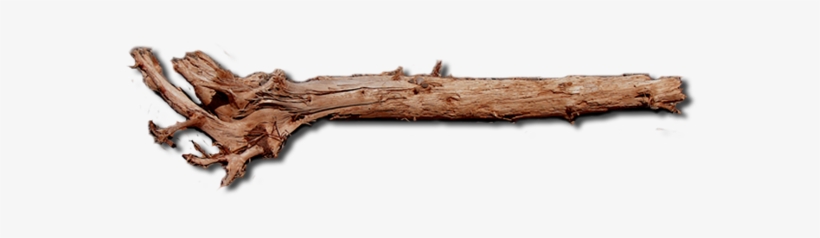 Dundjinni Mapping Software Forums - Old Wood Log Png, transparent png