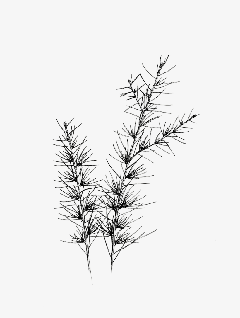 About - Illustration, transparent png