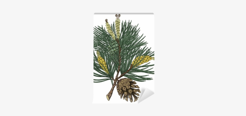 Poster, transparent png