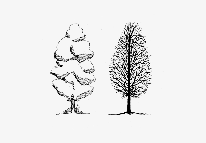 Helpful Resources And Links To Get You Oriented - Illustration, transparent png