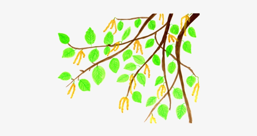 Drawn - Comics, transparent png