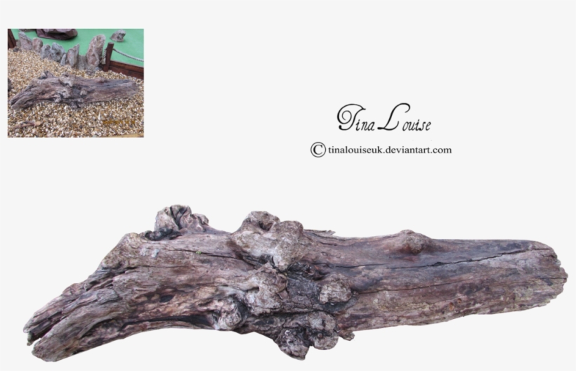 Log Png Image - Tree Log Png, transparent png