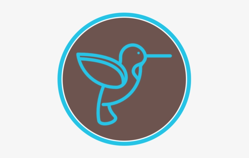 Preschool & Kindergarten - Duck, transparent png
