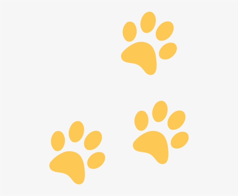 11 Small Panther Paw Print Images Free Cliparts That - Black And Gold Paw Print, transparent png