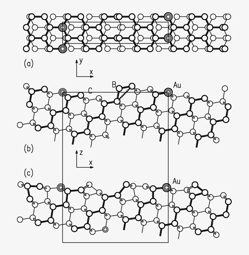 Structural Models Of The Ausi557 Surface - Diagram, transparent png