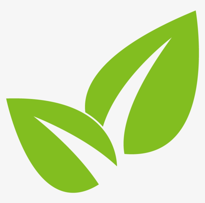 Leaf Plant Logo Root - Leaf Plant Logo Png, transparent png