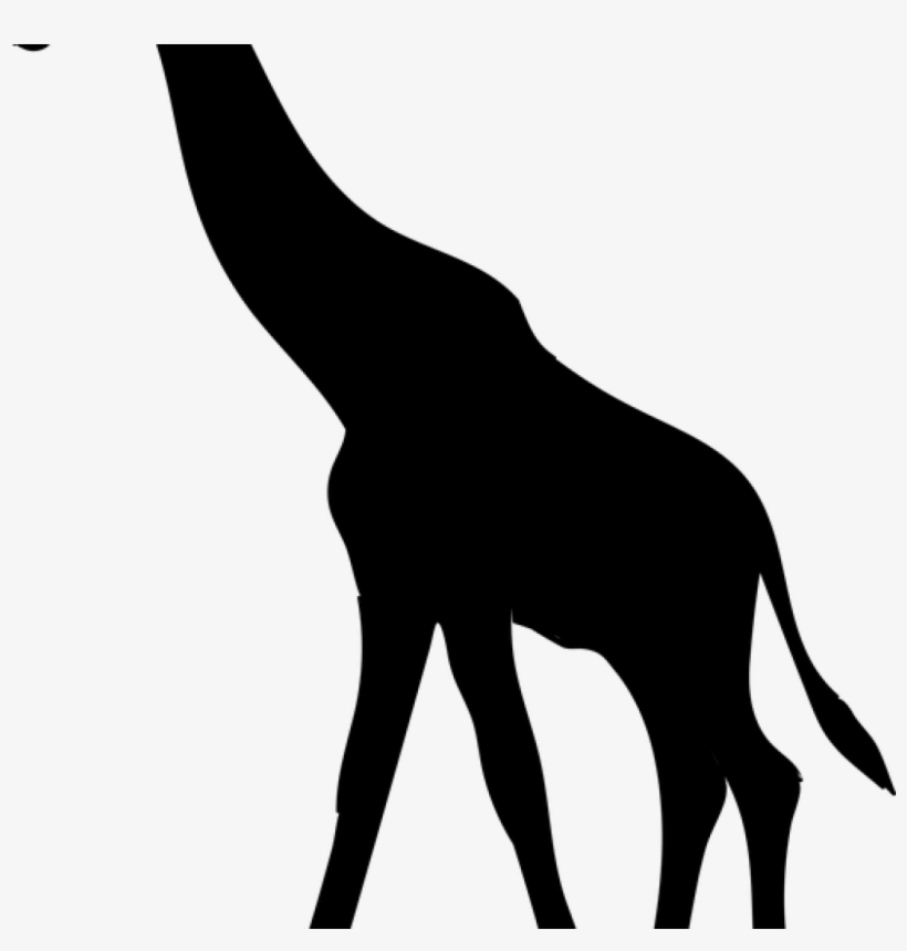 Volleyball Clipart Church - Giraffe Silhouette, transparent png