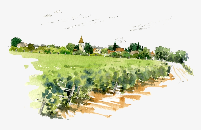 Its - Domaine Trapet, transparent png