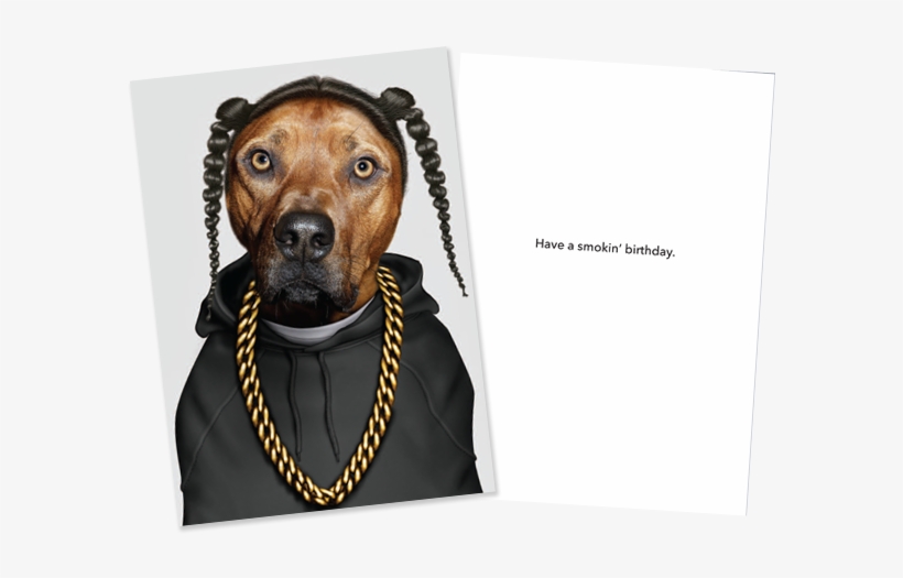 Behind The Card - Libreta Rap: Small Famous Faces Journal (pets Rock), transparent png