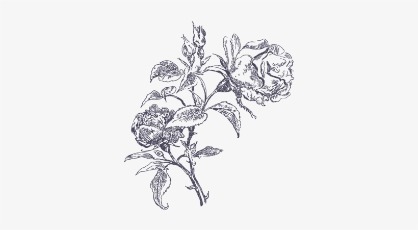 Flowers Arrangement - Magideal Vintage Black Paint Cat Metal Hollow Stationary, transparent png