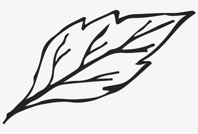 Leaf Sketch Rubber Stamp - Leaf Png Transparent Sketch, transparent png