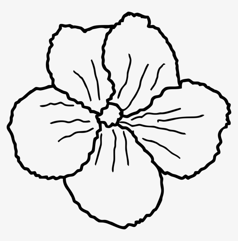 Floral Design Flower Drawing Line Art Petal - Clip Art, transparent png