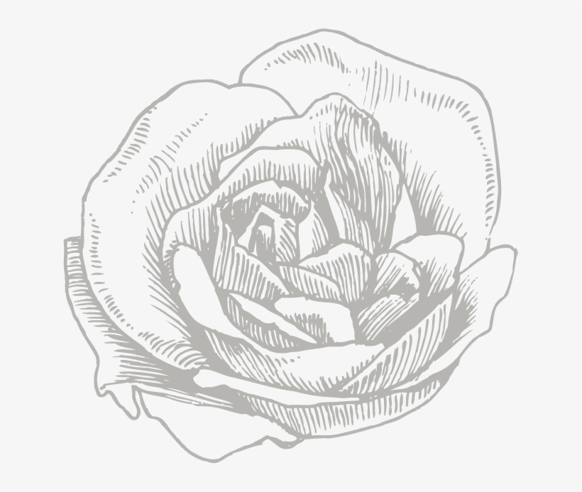 Download & Share Our Collection Catalog Below - Lulu Guinness Womens Navy & Chalk Ink Roses Flat, transparent png
