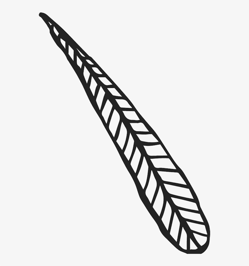 Long Leaf Sketch Rubber Stamp - Rubber Stamping, transparent png