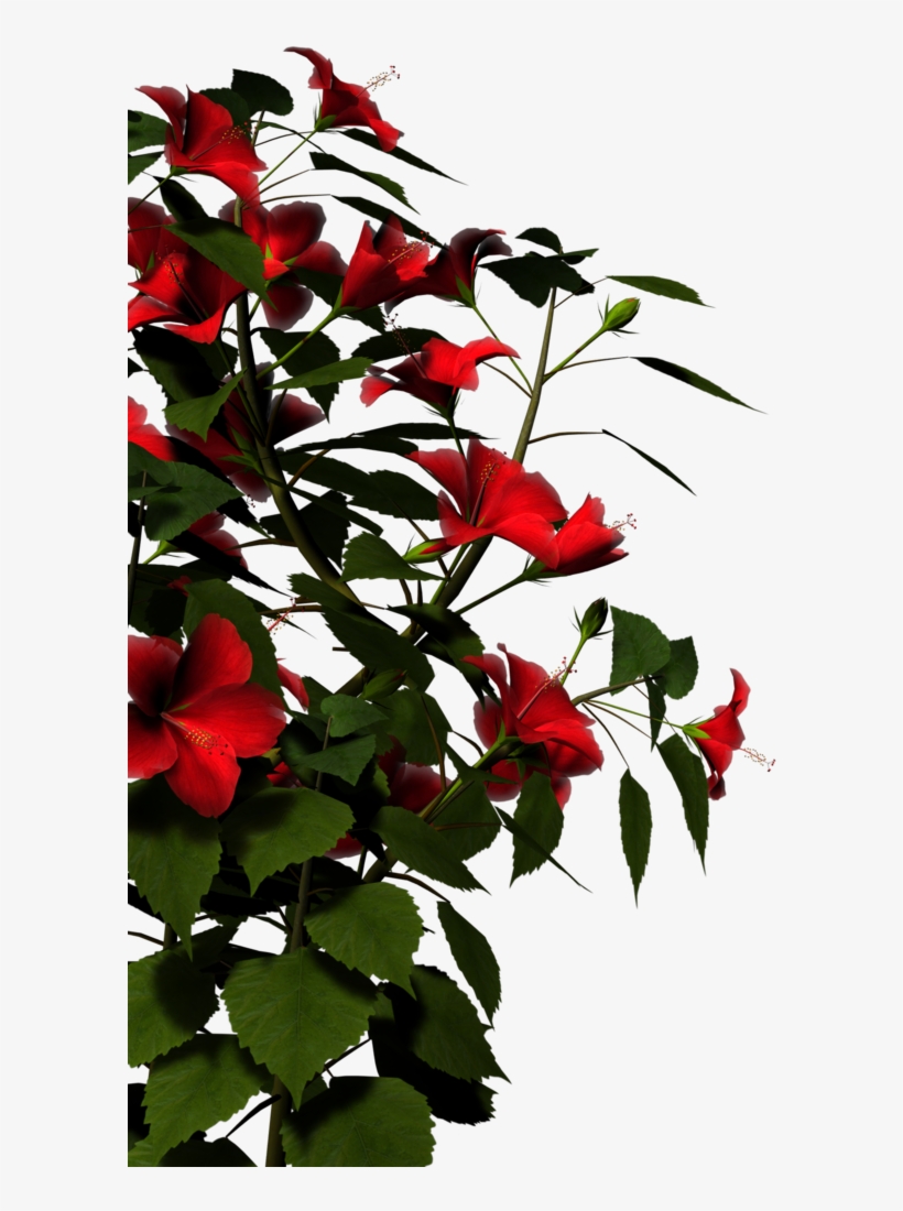 Nature Png Hd - Nature Png Images Hd, transparent png