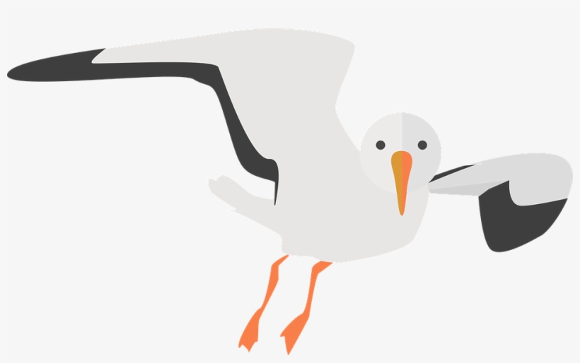 Sea-bird Clipart - Seagull Clipart, transparent png