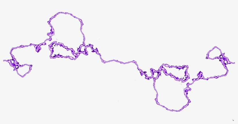 Plot, transparent png