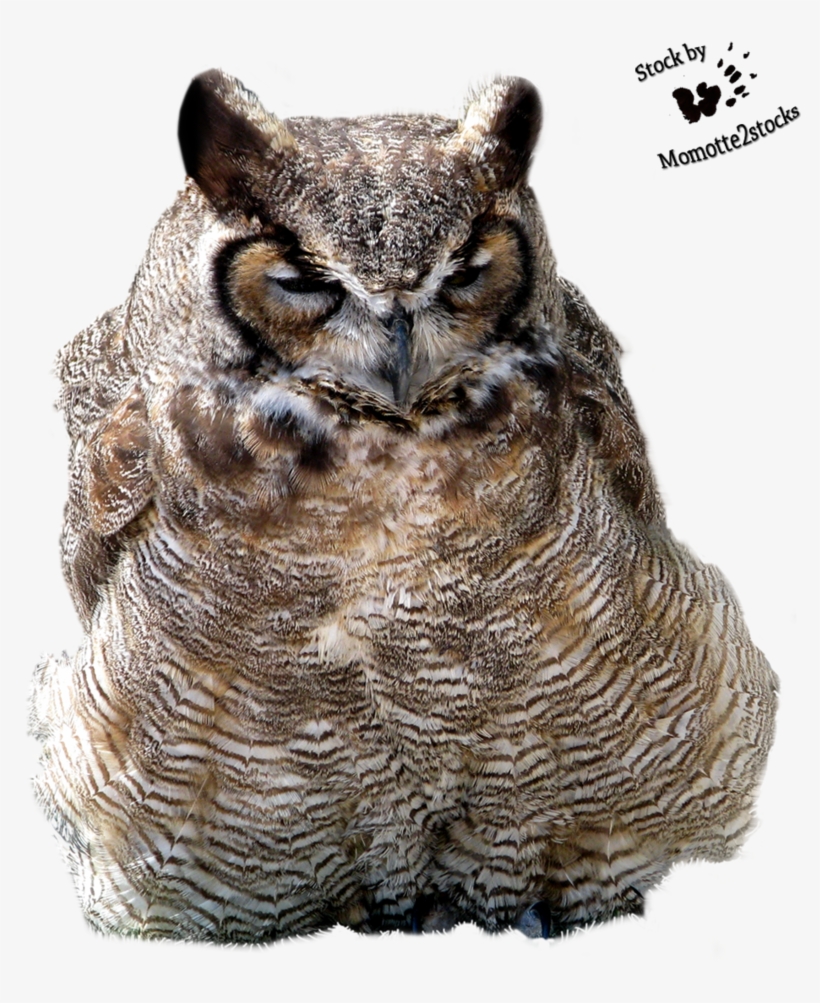 Cut-out Stock Png - Portable Network Graphics, transparent png