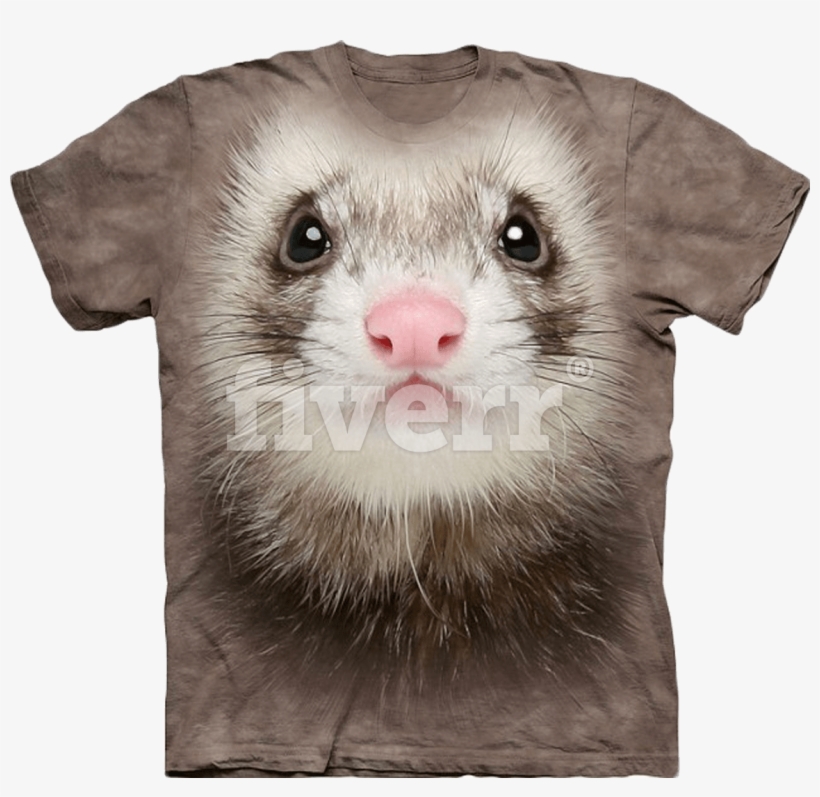 Ferret T Shirt, transparent png