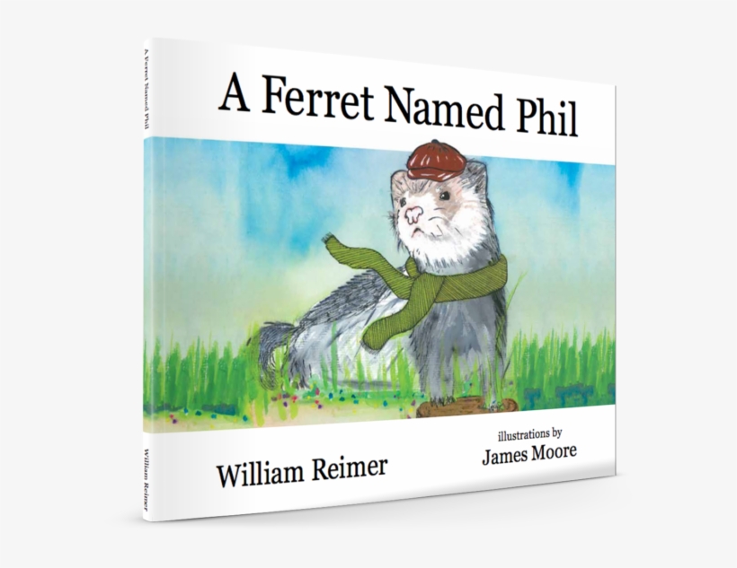 Ferret Named Phil, transparent png