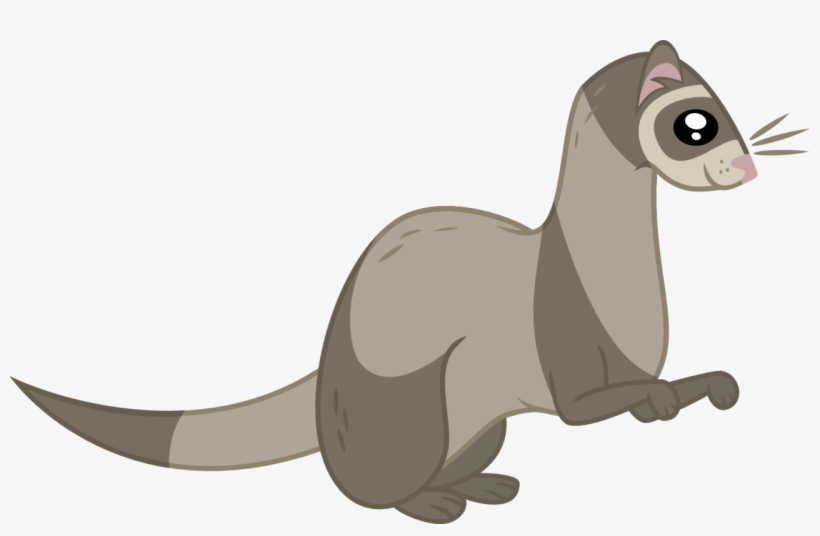 Ferret Vector Animal - Ferret Cartoon Transparent Background, transparent png