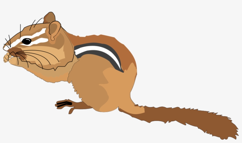 Chipmunk - Chipmunk Clip Art, transparent png