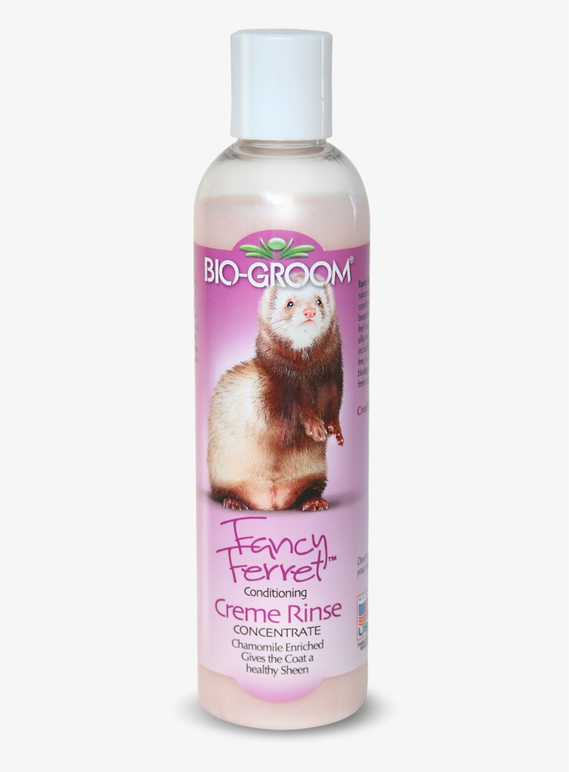 Fancy Ferret™ - Ferret, transparent png