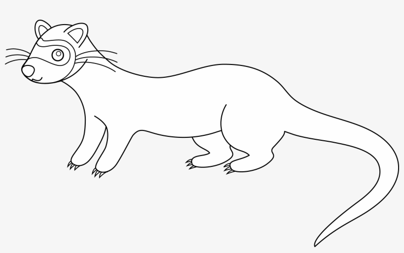 Ferret Clipart Transparent - Royalty-free, transparent png