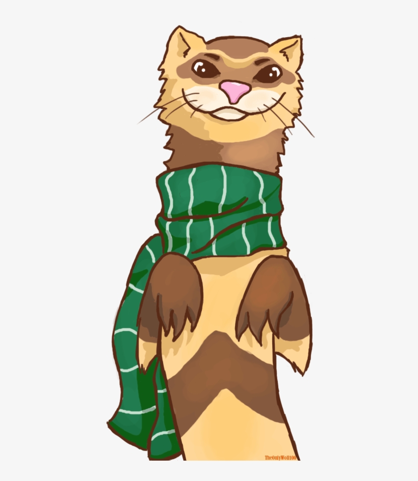 Ferret Wid A Scarf By Theonlywolf100 On Deviantart - Ferret In A Scarf, transparent png