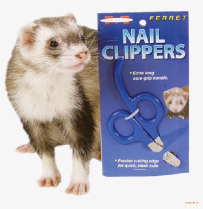 Marshall Ferret/rodent Nail Clippers - Marshall - Ferret Nail Clipper - 1 Clipper, transparent png