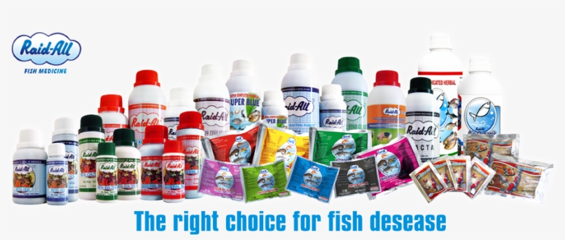 Fish Medicine Slider - Fish Medicine, transparent png