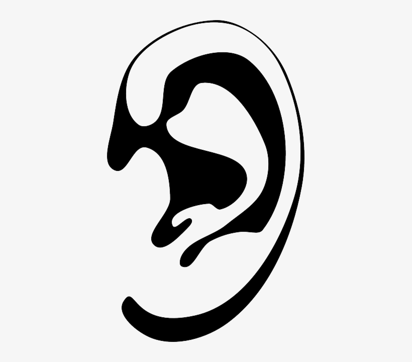 Listening Ears Images - Ear Silhouette - 393x640 PNG Download - PNGkit