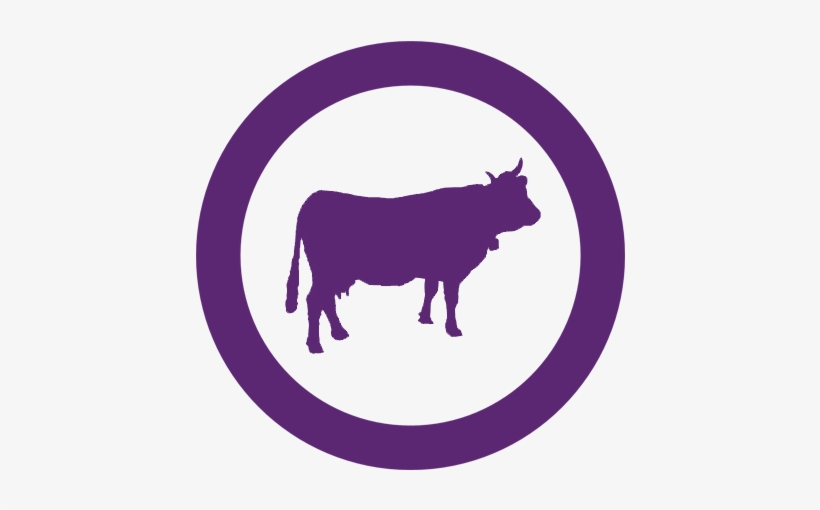 Http - //www - Buzzable - Biz/wp Blog Post - Save A Cow Eat A Vegan Note Cards, transparent png