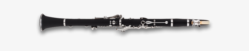 Cl-300 - Clarinet - Clarinet Family, transparent png
