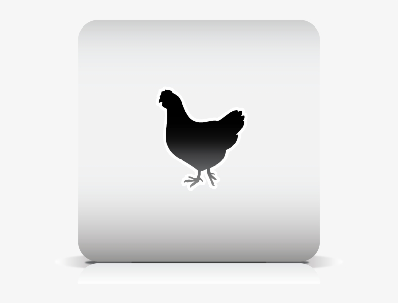 Rooster, transparent png