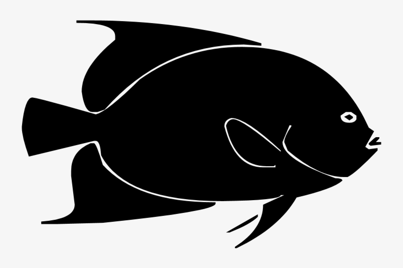 Fishhyyy - Silhouette, transparent png