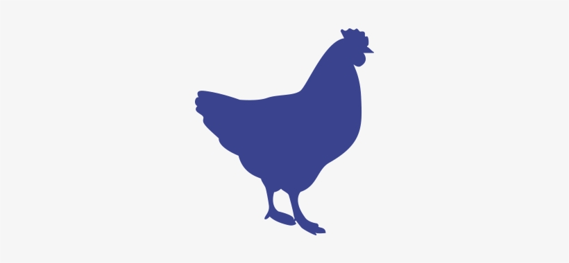 Poultry, transparent png