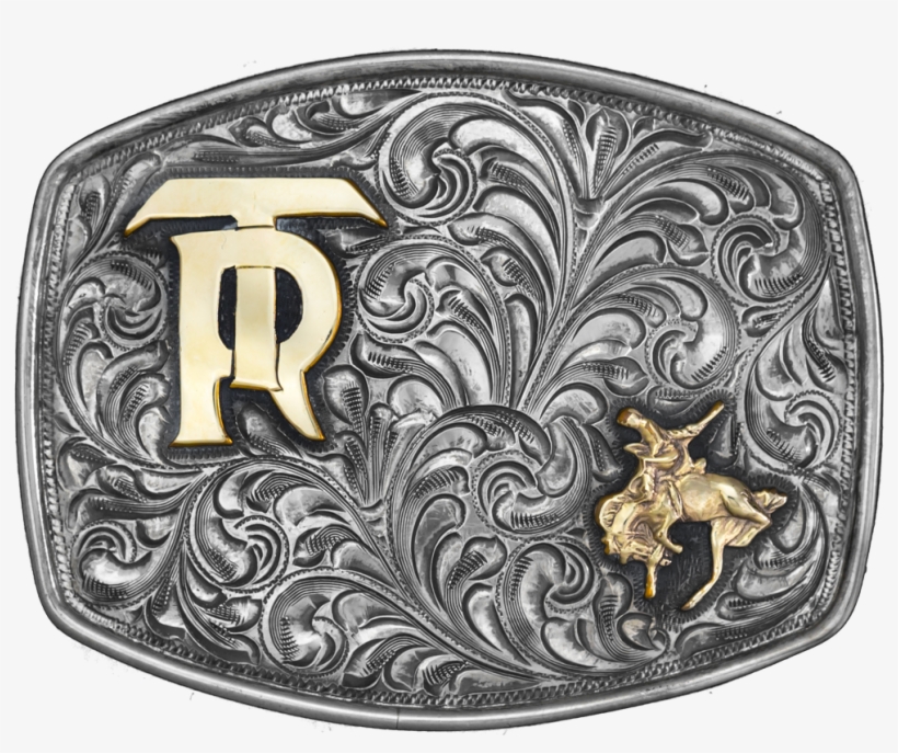 Tr Gold Rider Trophy - Gold, transparent png
