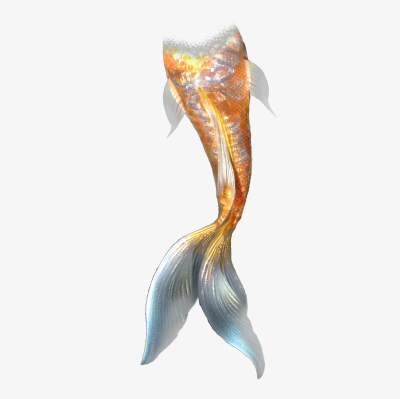 Mermaid Clipart Mermaid Tail Mermaid Mermaid Tail Transparent - Mermaid Tail, transparent png