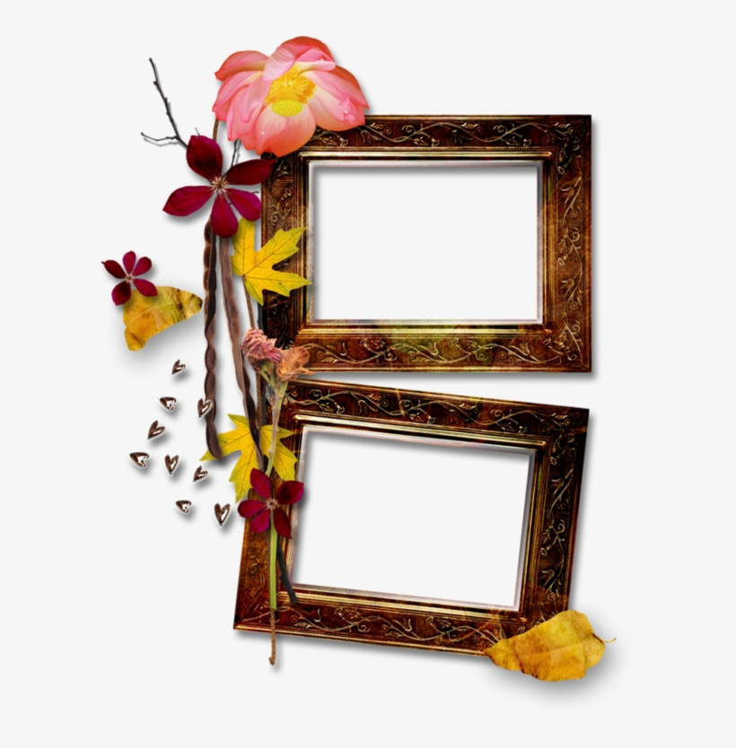Cadre,frame,tube,png - Floral Design, transparent png