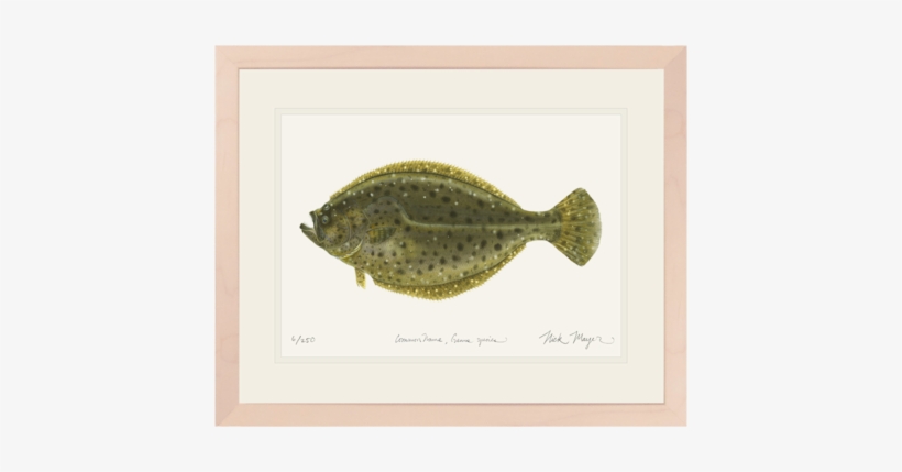 Fluke - Discounts And Allowances, transparent png