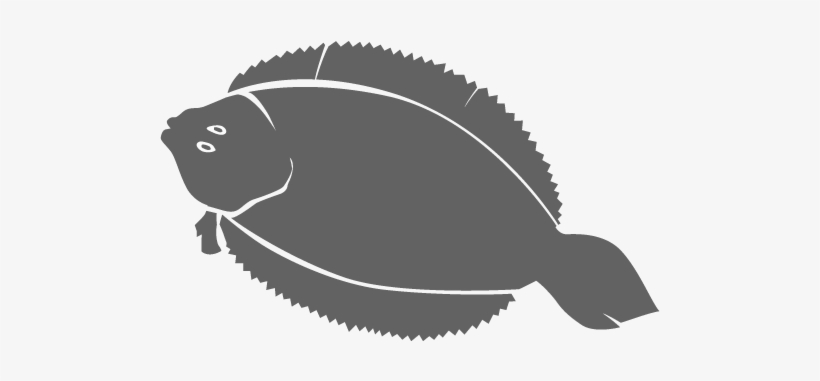 Repeat With Other 3 Fillets - Sole, transparent png