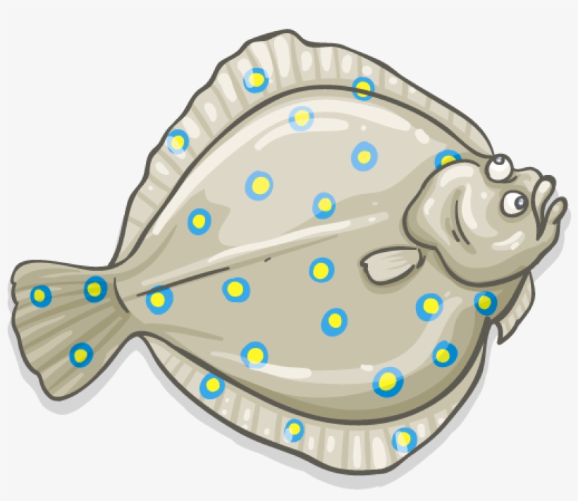 Find Near Me - Fish, transparent png